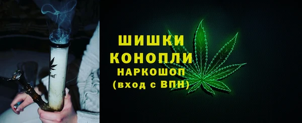 дживик Абинск