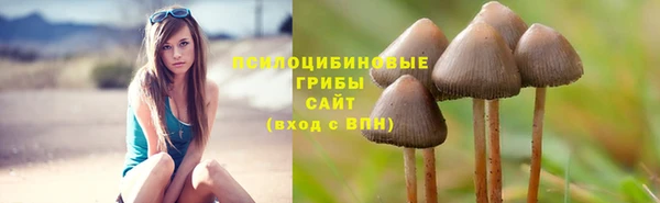 скорость Абаза