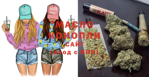 дживик Абинск
