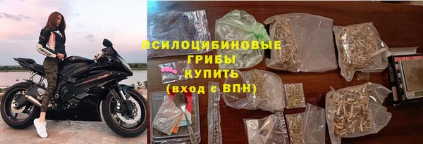 дживик Абинск