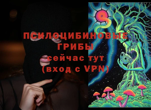 скорость Абаза