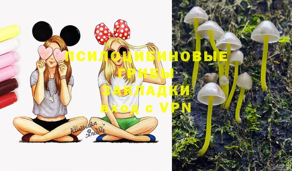 дживик Абинск