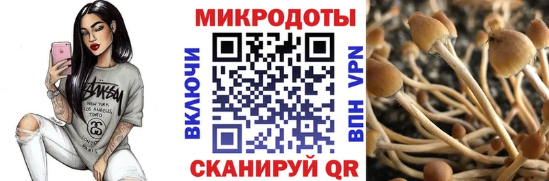 гидра ТОР Нелидово Псилоцибиновые грибы мицелий цены