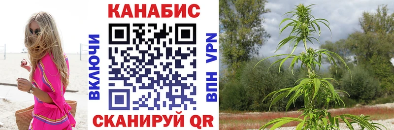 продажа наркотиков  Нелидово  Бошки марихуана план 